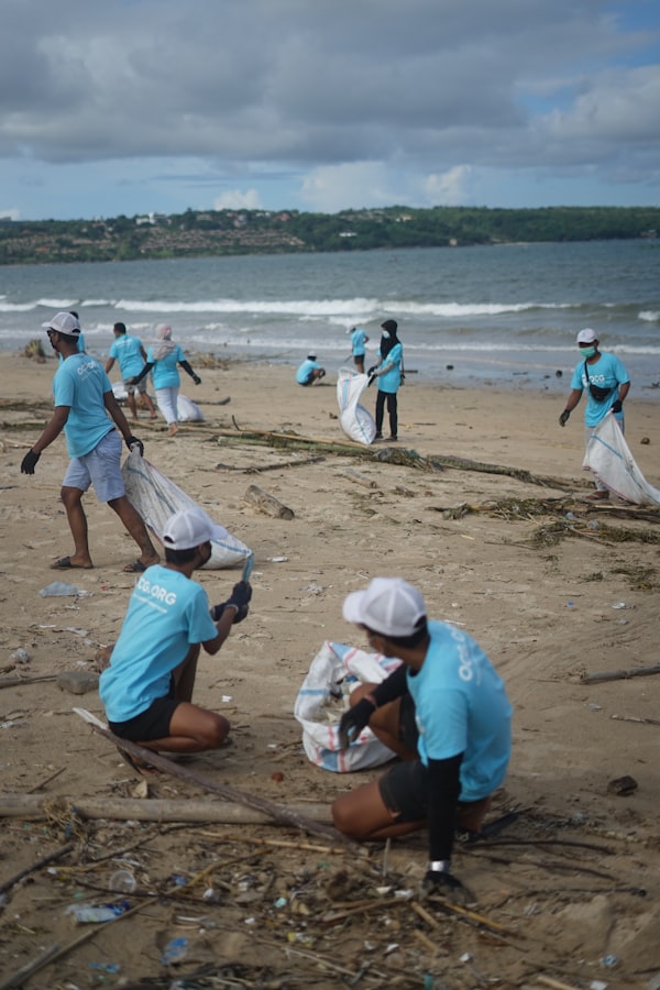 Volunteers cleaning a sandy beach shoreline with ocean waves in the background